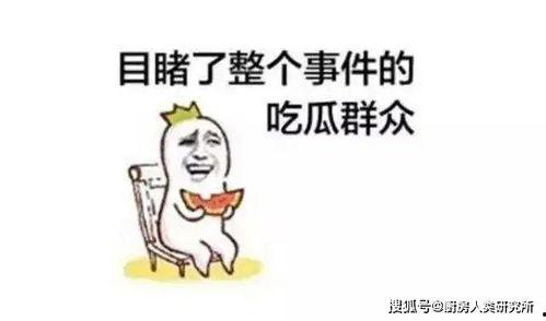 娱乐吃瓜酱努力生活