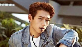 娱乐吃瓜所魏大勋,从娱乐吃瓜到人气飙升的明星之路